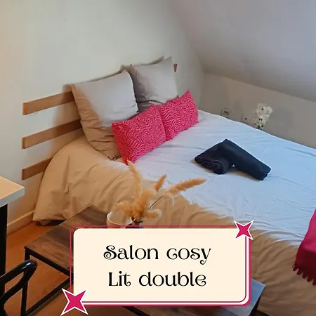 Apartment Colbert 541 Hypercentre - Ideal Couple & Pro - Wifi Debit - Gare, Cathedrale, Commerces, Restaurants & Transports En Commun A Moins De 10 Minutes A Pied